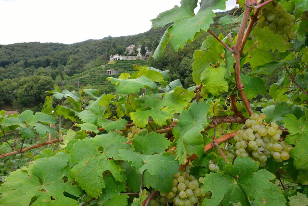 Agriturismo Crodi Miane Bagian luar foto